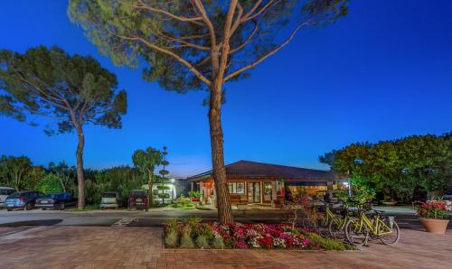 a tree in a flower bed in front of a building at Camping Fossalta in Lazise