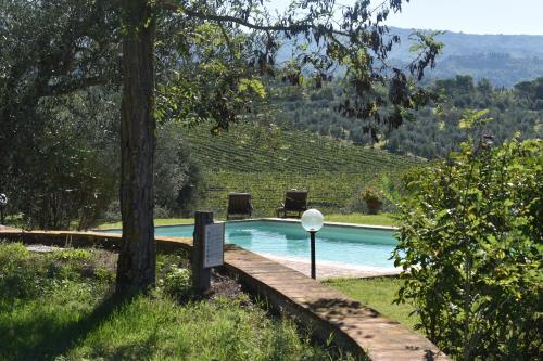 a swimming pool with two chairs next to a tree at Agriturismo Il Santo in Greve in Chianti