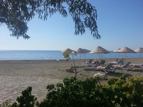 Afbeelding uit fotogalerij van Bacahan Hotel in Altınoluk