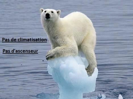 a polar bear standing on top of an iceberg at Hôtel Victoria in Grenoble