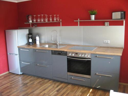 eine Küche mit Küchengeräten aus Edelstahl und roten Wänden in der Unterkunft Willkommen zuhause! Welcome home! in Koblenz