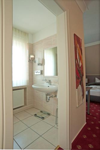 a bathroom with a sink and a mirror at Isselhorster Landhaus in Gütersloh