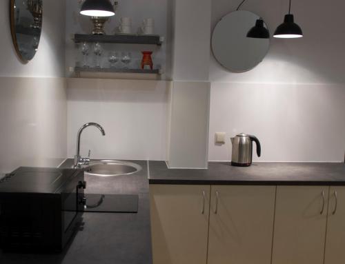 una cucina con lavandino e piano di lavoro di Mini Home Bookshop Studios a Vilnius