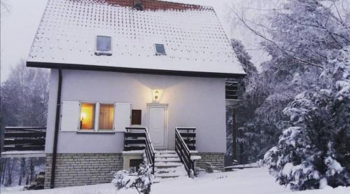 Apartman Tripković tokom zime