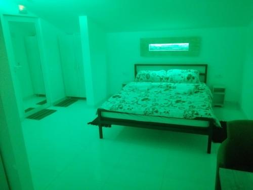 a green bedroom with a bed in a dark room at Vila Violeta in Šabac