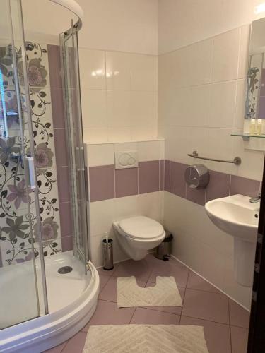 a bathroom with a shower and a toilet and a sink at Mlyn Penzion & Wellness in Radvaň nad Dunajom