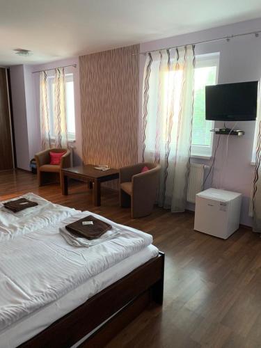 a hotel room with a bed and a tv at Mlyn Penzion & Wellness in Radvaň nad Dunajom