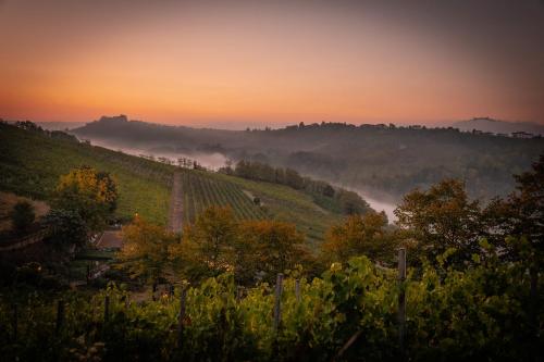 a view of a vineyard in the hills at sunset at Borgo Santuletta in Santa Giuletta