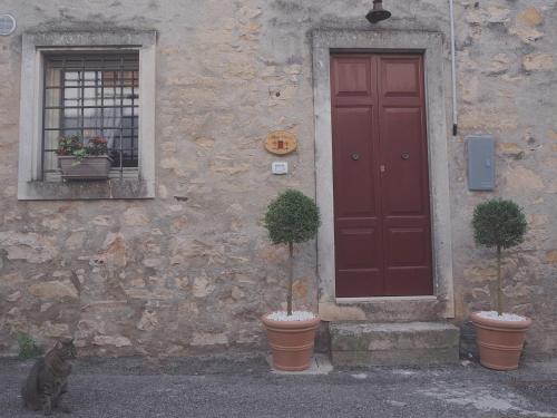 a cat sitting in front of a building with a red door at B&B Antique Maison in Soave
