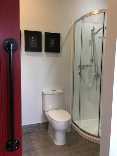 een badkamer met een toilet en een douche bij Birch Hill Cottage -30 minutes from St Arnaud in Wairau Valley