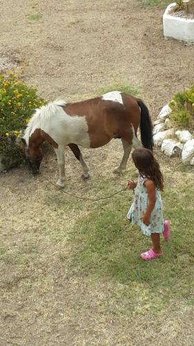 Ein kleines Mädchen steht neben einem braunen und weißen Pferd in der Unterkunft Villa Agnese in Badesi