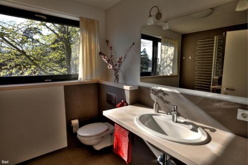 a bathroom with a sink and a toilet and a window at Ferienhaus Sonnensteg 23 in Ostseebad Sellin