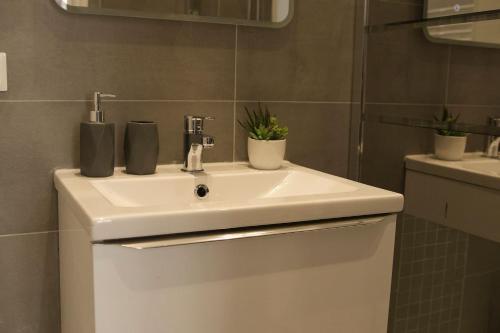- un lavabo blanc dans une salle de bains avec 2 plantes dans l'établissement Appart Faubourg St Pierre, à Nancy