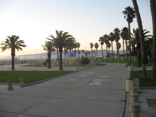 a sidewalk with palm trees and a park at Venice Beach Delight in Los Angeles