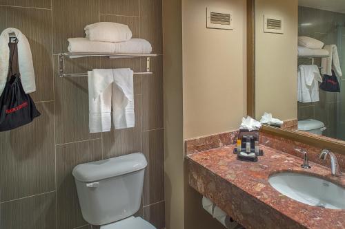 W łazience znajduje się toaleta, umywalka i lustro. w obiekcie HoteLumiere at the Arch w mieście Saint Louis