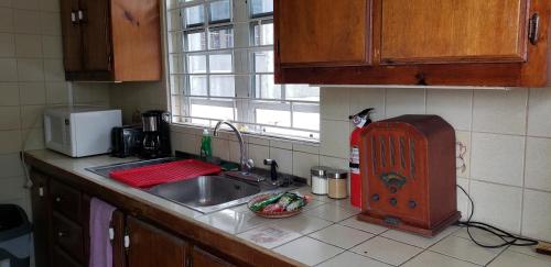 a kitchen counter with a sink and a window at Roseau City Center Apartment in Roseau