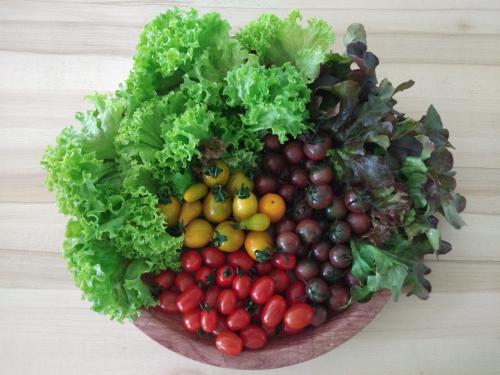 a bunch of vegetables on a wooden plate at Moonriver Lodge in Cameron Highlands