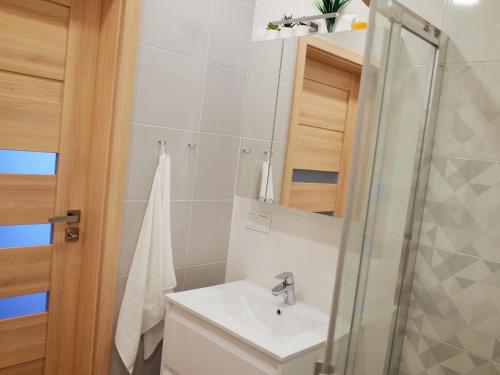 a bathroom with a sink and a shower at Elzbietos centro apartamentai in Vilnius