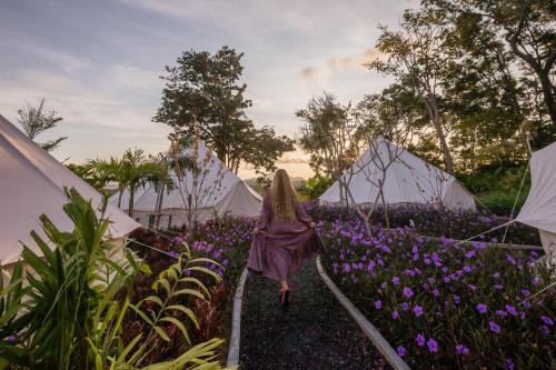 Κήπος έξω από το Roost Glamping - SHA Certified