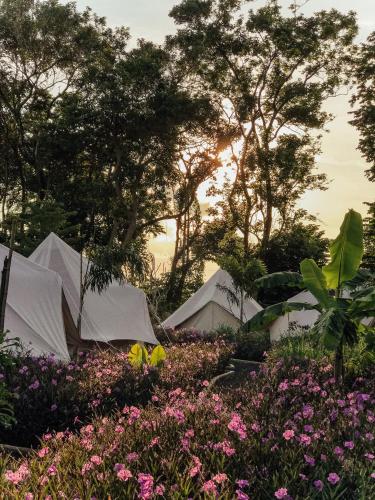 Κήπος έξω από το Roost Glamping - SHA Certified