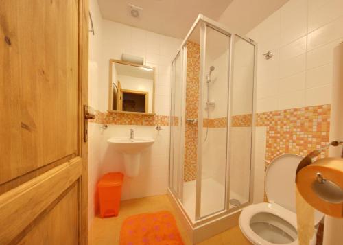 a bathroom with a shower and a toilet and a sink at Pension Roubenka in Harrachov