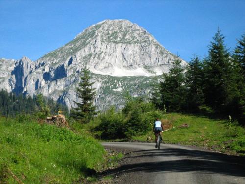 a man riding a bike down a road in front of a mountain at Apartment-Kraft in Lungötz