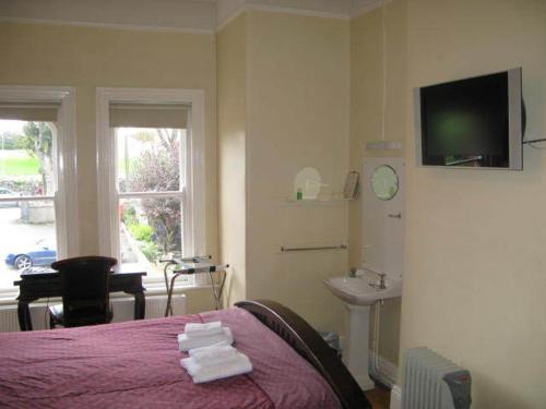 a bedroom with a bed and a sink and a tv at Dun Aoibhinn Guest Accommodation in Galway