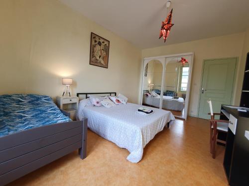 a bedroom with a bed and a mirror at La tanière du Corsaire -16 Pers in Redon