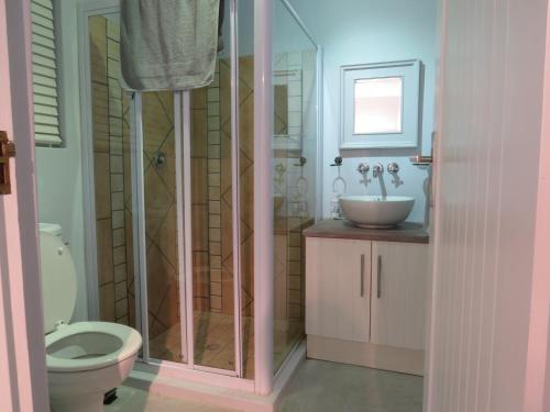a bathroom with a shower and a toilet and a sink at Oppidraai B in Paternoster