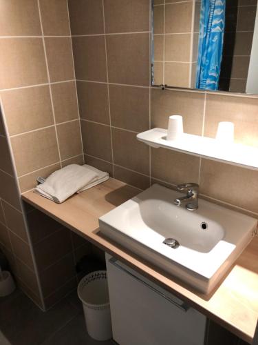 a bathroom with a white sink and a mirror at Hôtel Au Petit Languedoc in Lourdes