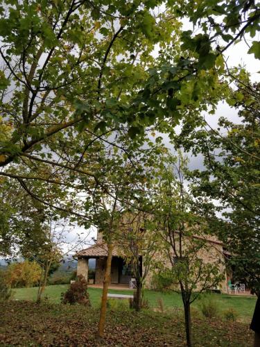 a house in the middle of a field with trees at La casa di Arianna in Casole dʼElsa