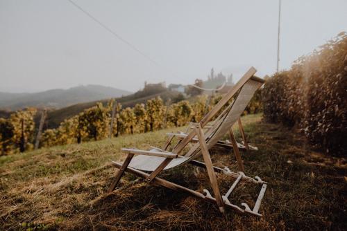 a wooden chair sitting on a hill next to a vineyard at Winzerhaus am Gamlitzberg in Gamlitz