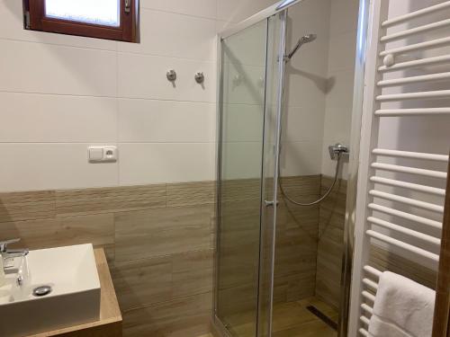 Brezová pod Bradlom的住宿－Penzión Tvarožek ***，一间带玻璃淋浴和水槽的浴室