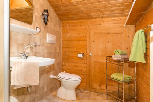 łazienka z toaletą i umywalką w obiekcie Lahnerhof w mieście Campo Tures