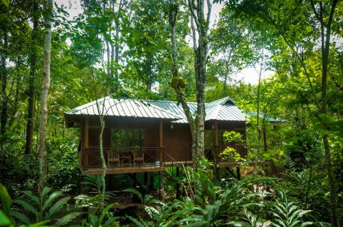 Imagen de la galería de Monsoon Retreats Ecostay- Treehouse, en Thekkady