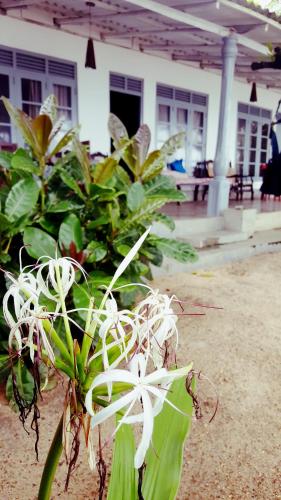 a white flower in front of a building at Rankaty Residence in Unawatuna