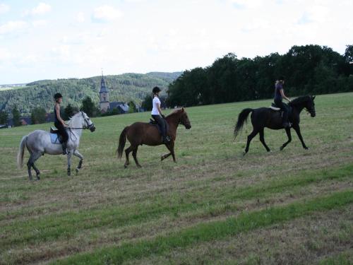 Pferd Spass Entspannung Staitz 22年 最新料金