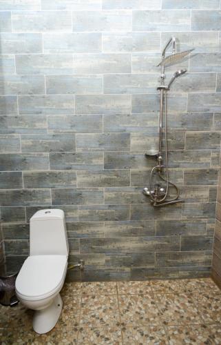 a bathroom with a toilet and a shower at Hotel Ragnar in Nizhnyaya Alekseyevka