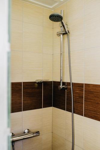 a shower stall with a shower head in a bathroom at Penzion U Haliny in Třinec