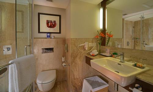 a bathroom with a sink and a toilet and a mirror at Fortune District Centre, Ghaziabad - Member ITC's Hotel Group in Ghaziabad