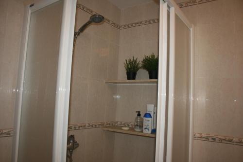 a bathroom with a shower and a toilet and a sink at Top Home Jasmine Jerez in Jerez de la Frontera