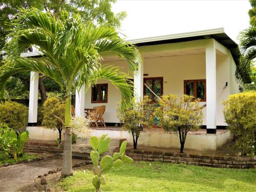 a house with a palm tree in the yard at Hospedaje Soma in Moyogalpa