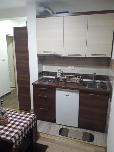 Η κουζίνα ή μικρή κουζίνα στο Apartmani Nikola u vili Semeteš