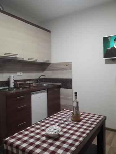 Η κουζίνα ή μικρή κουζίνα στο Apartmani Nikola u vili Semeteš