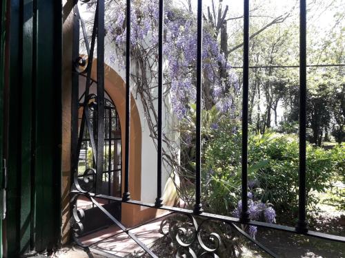 Estancia Santa Elena – Photos 2