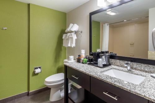 a bathroom with a sink and a toilet and a mirror at Sleep Inn & Suites Allendale in Allendale