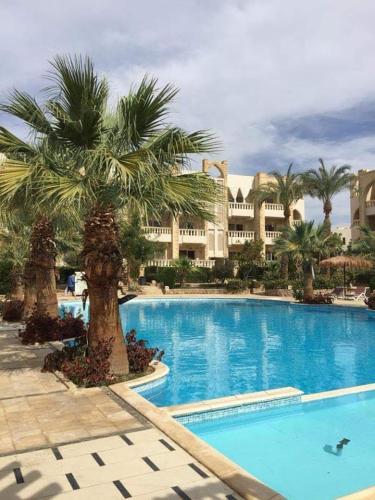 a large swimming pool with palm trees in front of a building at One- bedroom apartment S3 in Vip Zone Sunny Lakes in Sharm El Sheikh