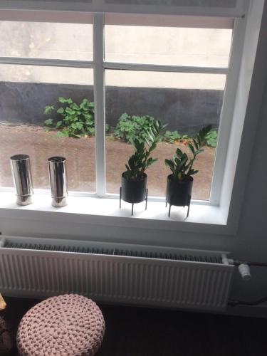a window with three potted plants on a window sill at Slapen bij Van-V in Zierikzee