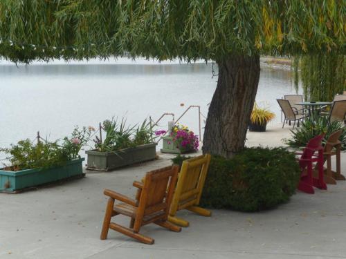 a group of chairs under a tree next to a lake at Sun Beach Motel in Osoyoos
