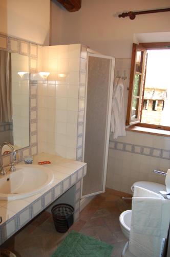 a bathroom with a sink and a toilet at Agriturismo Casagrande in Montepulciano